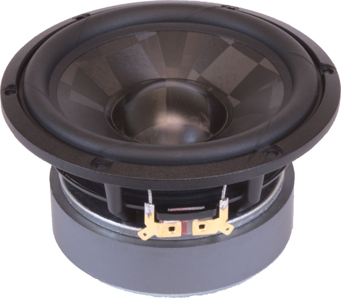 E0115-08  W16NX005 (PAIR)